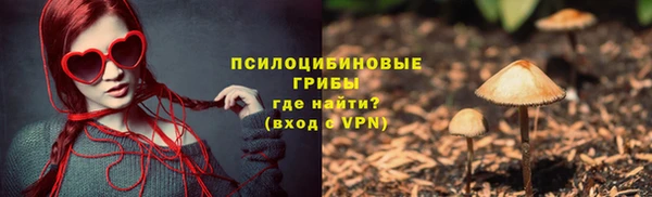 мдпв Заволжск