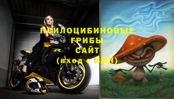 Альфа ПВП Елабуга