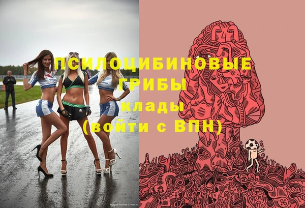 таблы Заводоуковск