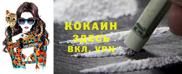 Альфа ПВП Елабуга