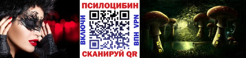 Купить закладки  Ленск  Галлюциногенные грибы Psilocybe 