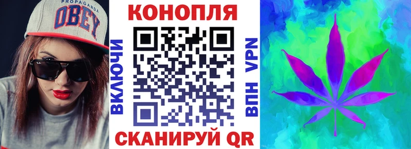 Каннабис сатива  Купить закладки  Ленск 